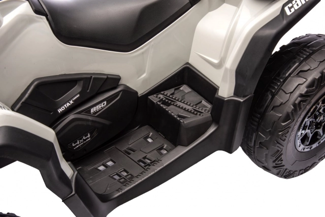 Strong performance and switchable 2×4 / 4×4 drive