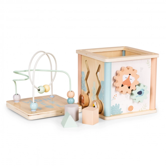 Houten educatieve blokken Ecotoys