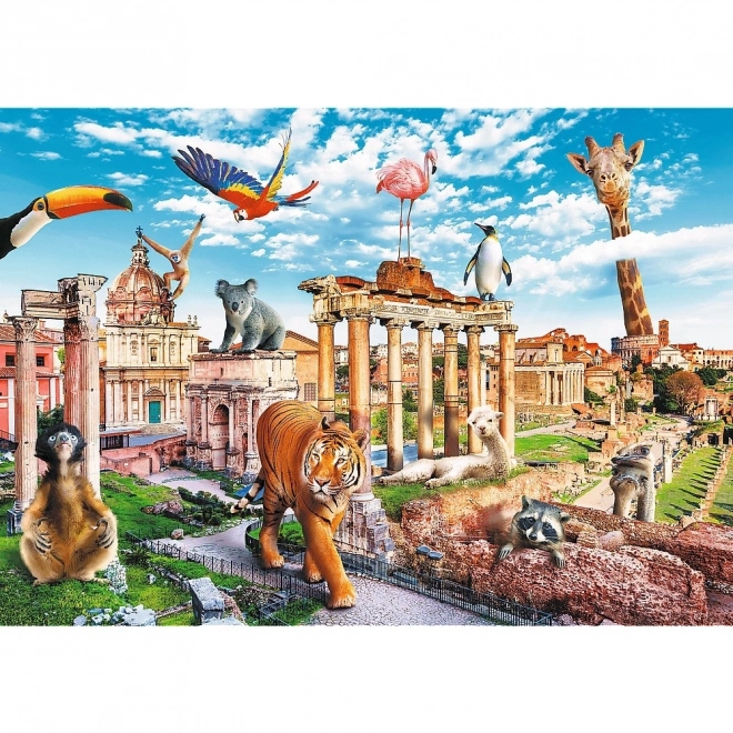 Puzzel Grappige Steden - Wild Rome 1000 stukjes