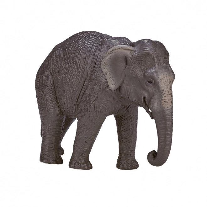 Mojo Indiase olifant