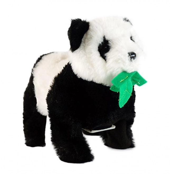 Panda acrobaat