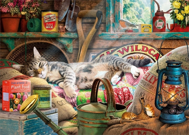 Puzzle Ontspanning 1000 stukken van Gibsons