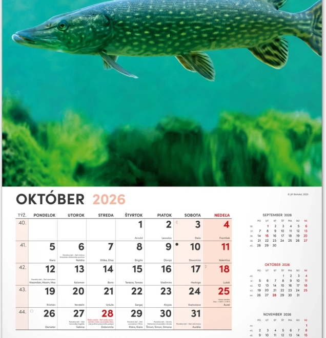 Muurkalender Vissen 2026