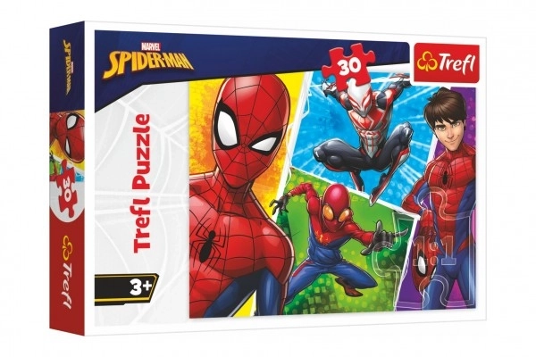 Puzzle Spider-Man and Miguel 30 pieces