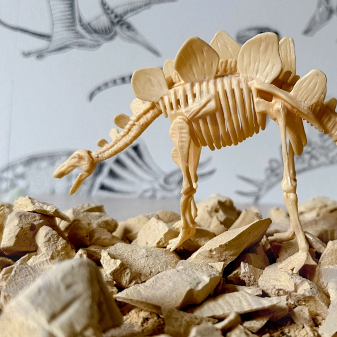 Woopie creatieve speelgoed dinosaurus skelet opgraving