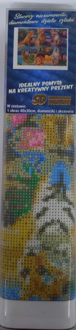 Norimpex diamantschilderen kattendromen 30x40 cm