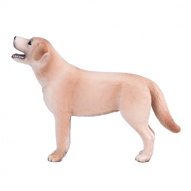 Realistische Labrador-figuur