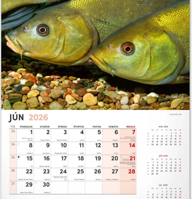 Muurkalender Vissen 2026