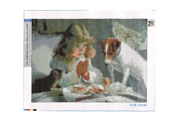 Diamantschilderij set - meisje bij het ontbijt met hondje