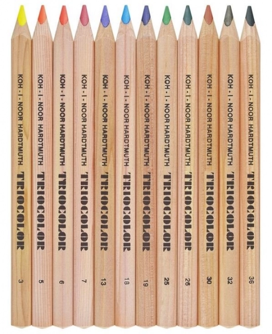 KOH-I-NOOR Driekantige kleurpotloden Triocolor 3152 - 12 stuks
