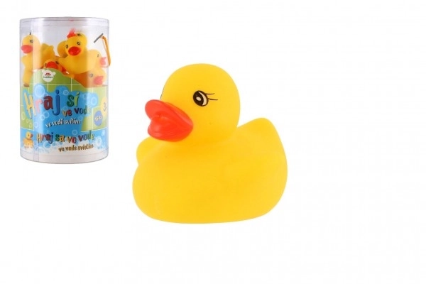 Canard lumineux pour le bain
