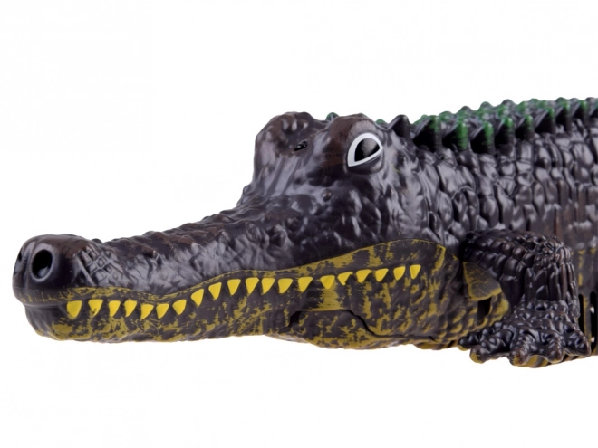 Remote Controlled Crocodile Toy