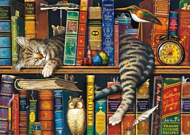 Puzzel 1000 stukjes Frederick Gramotný van SCHMIDT