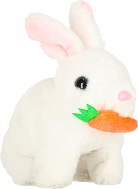 Lapin Interactif avec Carotte