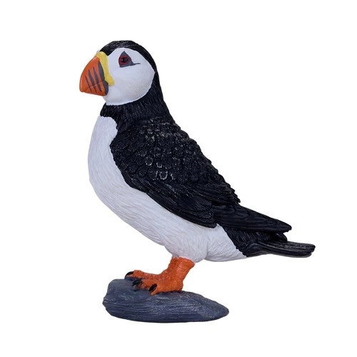 Mijn Papegaaiduiker