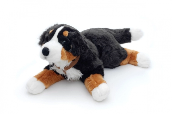 Bernese Mountain Dog Plush Toy 65 cm