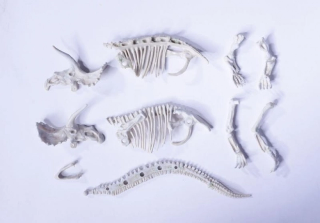 Set voor het opgraven en assembleren van dinosauriër skeletten