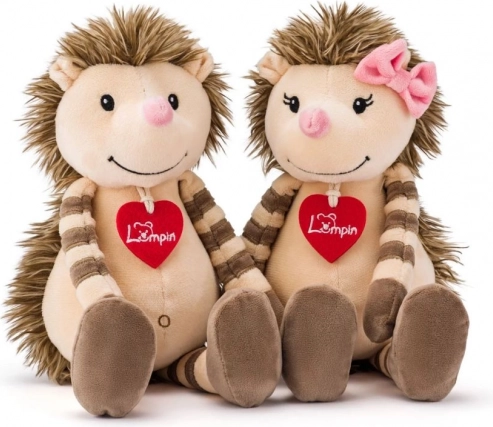 Adorable design with a heart