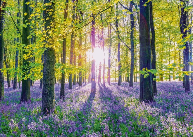 Puzzle Douces Campanules Bleues en Forêt 1000 pièces