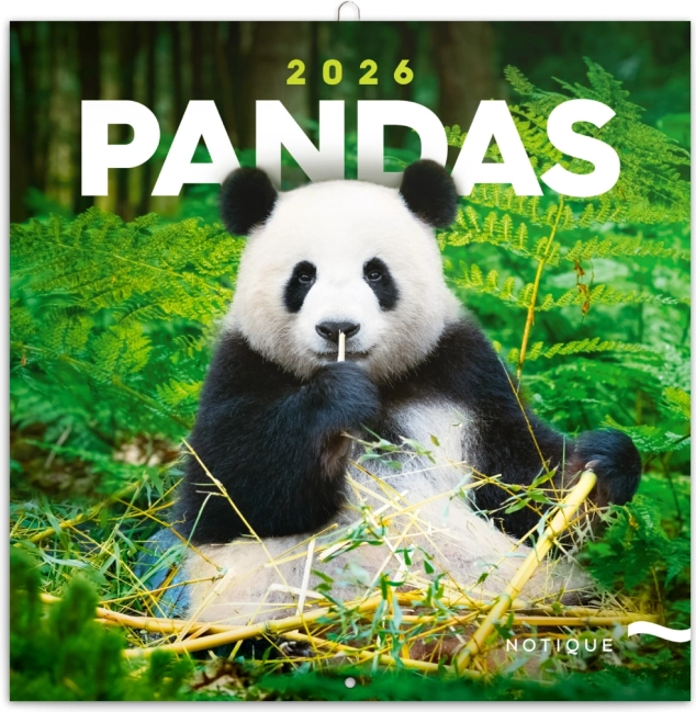 Panda Note Calendar 2026