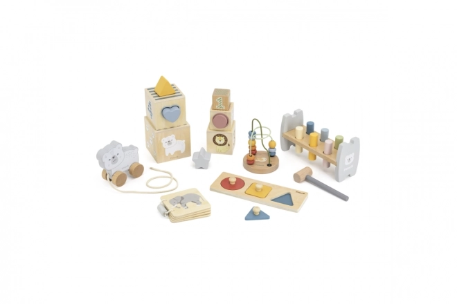 Wooden Activity Set for Toddlers