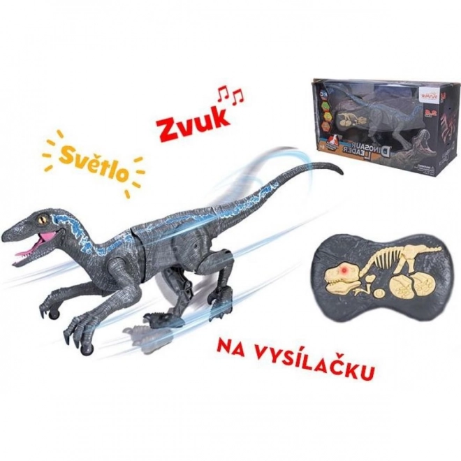 RC Raptor op afstandsbediening 45 cm