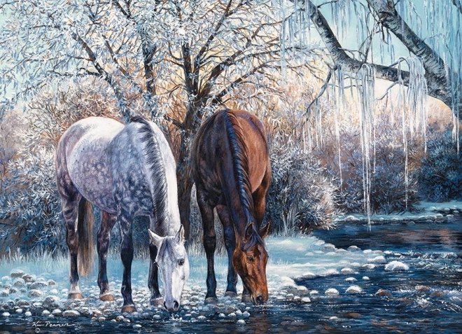Paysage hivernal saisissant