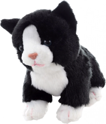 Standing pose for play and display