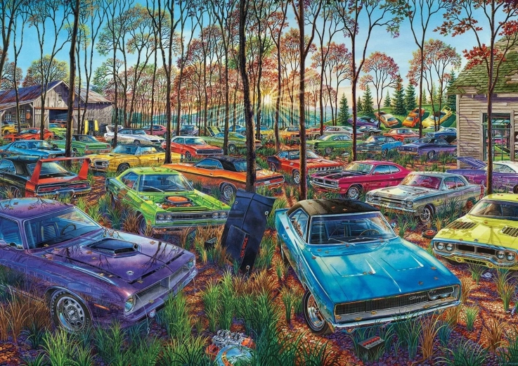 Puzzel Autokerkhof 1000 stukjes ART PUZZLE