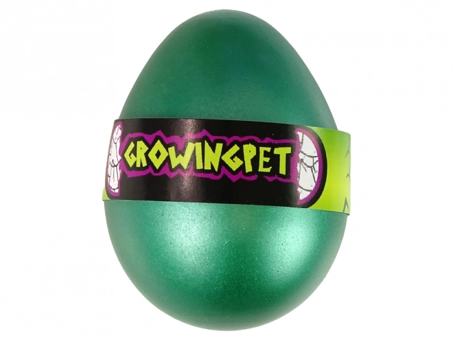 Magisch Schildpad Ei dat Groeit 6 cm