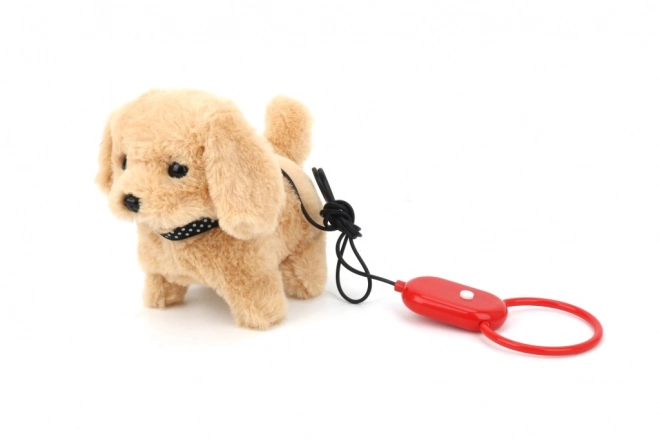 Chiot en laisse avec sons