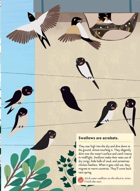 Chronicle Boeken Activiteitenboek met stickers mijn natuur Vogels van de wereld