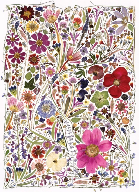 Puzzel Geperste Bloemen Lente 1000 Stukken door Cobble Hill