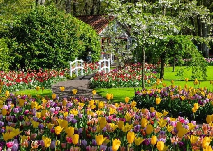 Enchanting Keukenhof Gardens motif