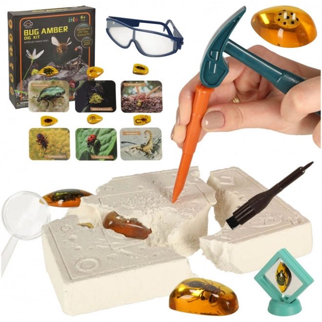 Archeologisch educatief set Insecten in Barnsteen