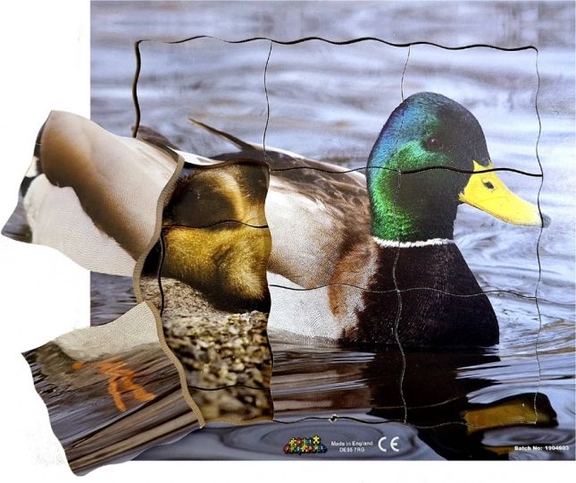 Puzzle en bois superposés Canard et son cycle de vie - 19 pièces
