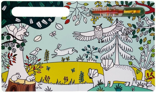 Malen mit Wasser: Wer lebt im Wald?
