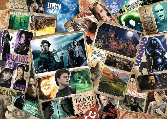 Puzzel 2000 stukjes Harry Potter Helden
