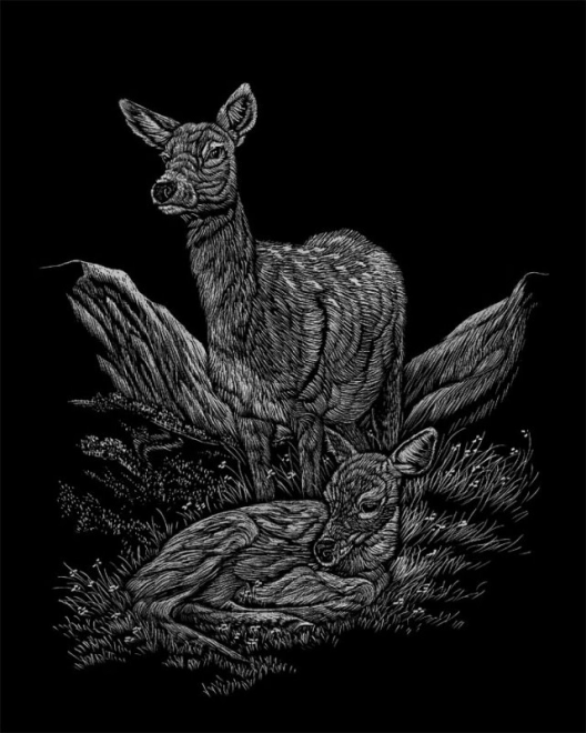 ROYAL & LANGNICKEL Images à gratter en bloc Animaux sauvages d'Amérique du Nord