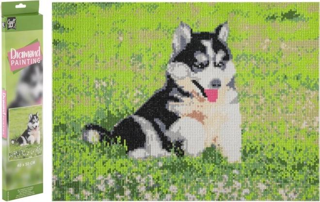 GRAFIX Diamanten schilderij Husky 40x50cm