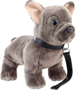 Plüsch Französische Bulldogge mit Leine 23 cm