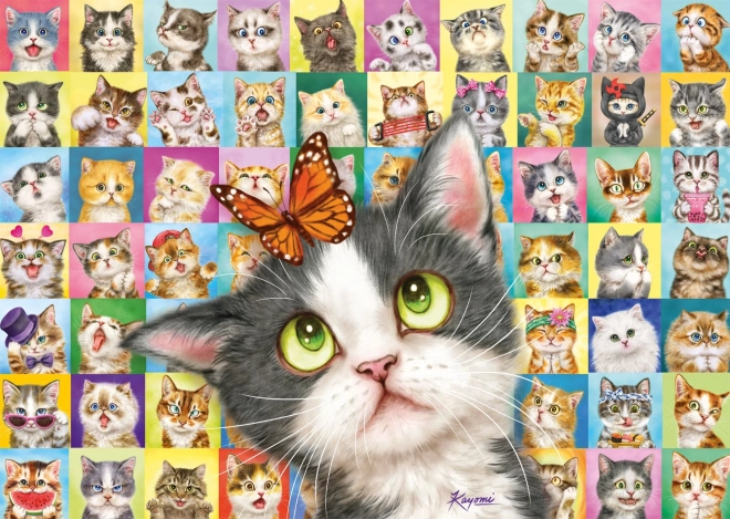 Puzzle SCHMIDT – expressions de chats, 1000 pièces