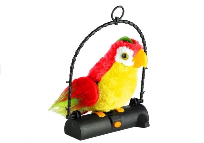 Papegaai Pleciuga Vogel herhaalt woorden rood