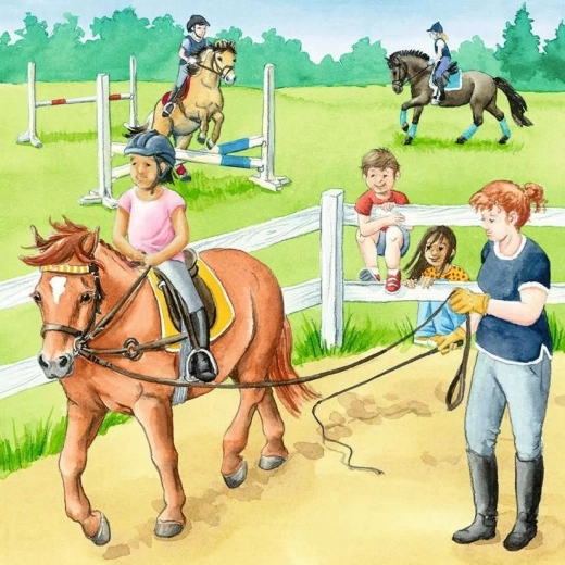 Three themes from the equestrian world