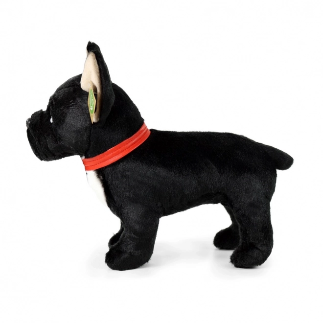 Zwarte Franse bulldog knuffel met halsband staand 30 cm ECO-FRIENDLY