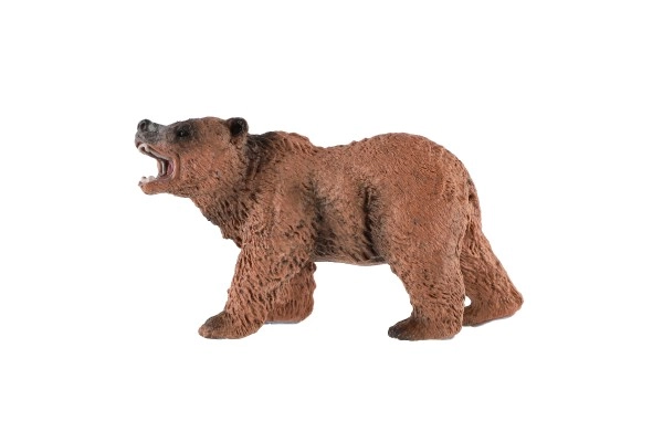 Taille idéale 12 cm