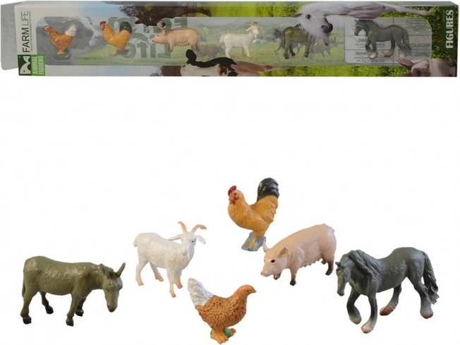 Animals in Domestic Box