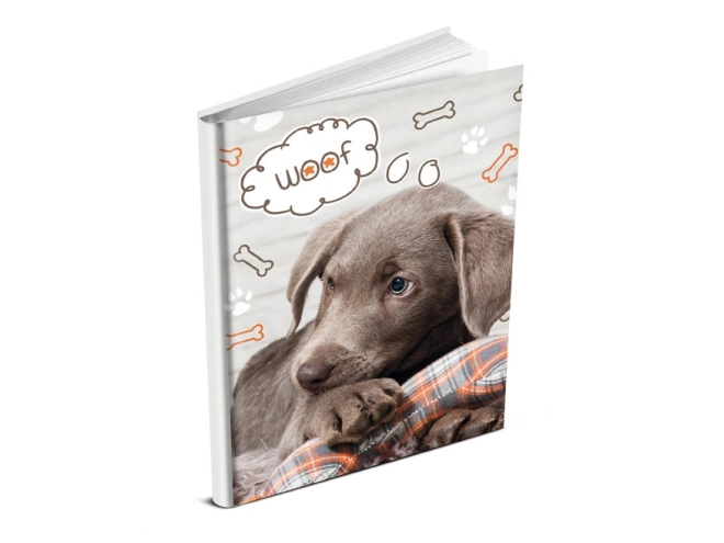 Motiv mit Hund