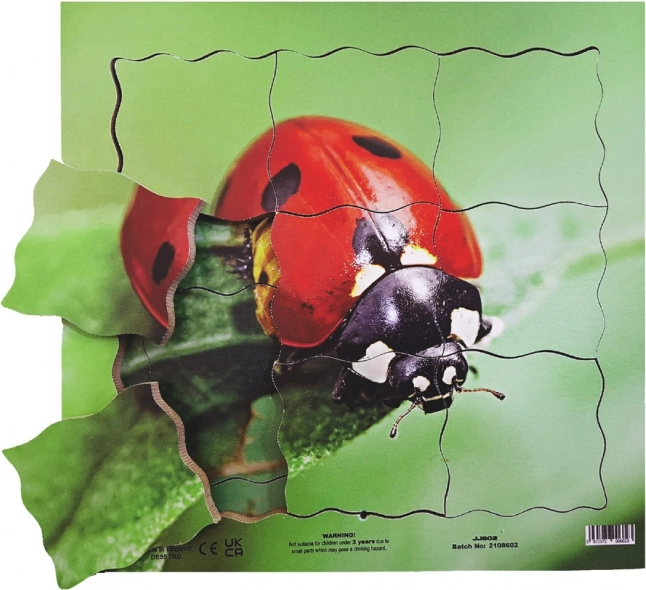 Just Jigsaws Puzzle en bois superposés Coccinelle et son cycle de vie 19 pièces