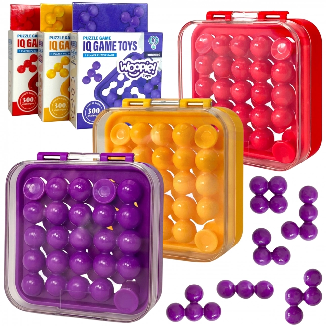 Logisch spel en puzzel WOOPIE IQ